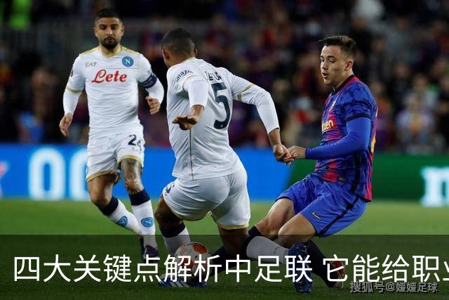 四大关键点解析中足联 它能给职业联赛带来哪些改变?